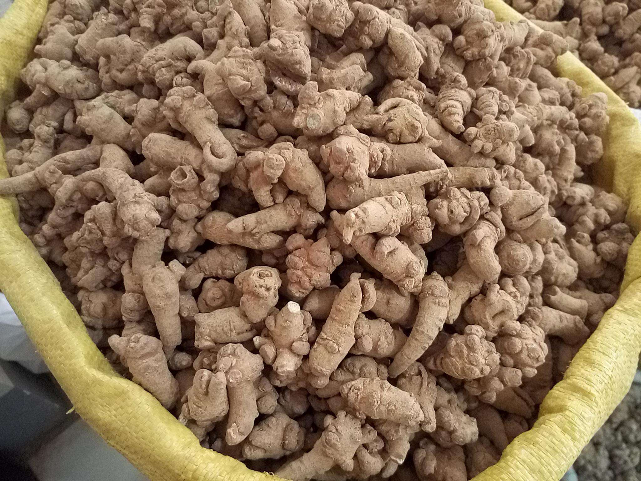 2022年11月10日---三七头子出售信息