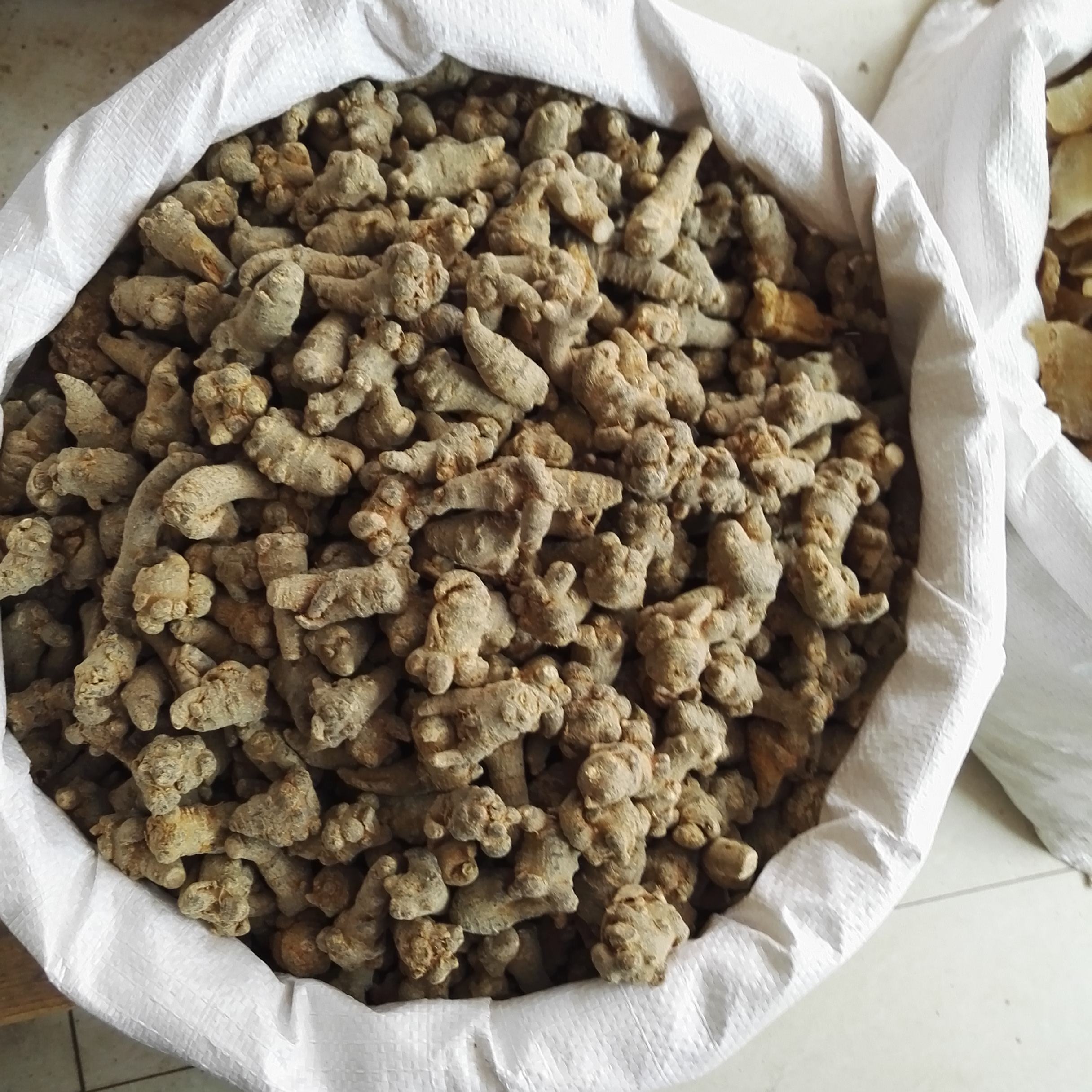 2022年11月21日---三七头子出售信息